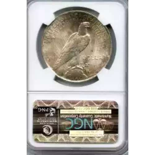 Peace Silver Dollar (3)