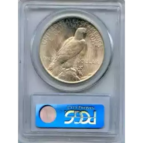 Peace Silver Dollar (3)