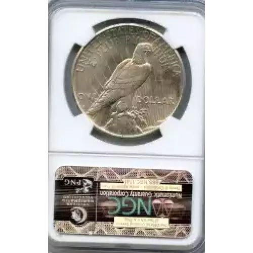 Peace Silver Dollar (3)