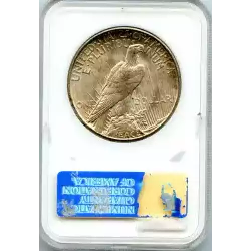 Peace Silver Dollar (3)