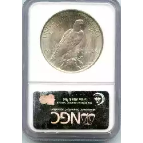 Peace Silver Dollar (3)