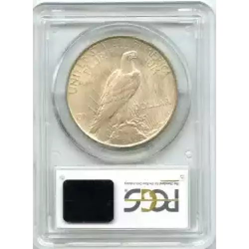 Peace Silver Dollar (3)