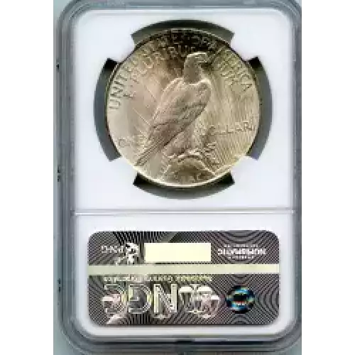 Peace Silver Dollar (3)