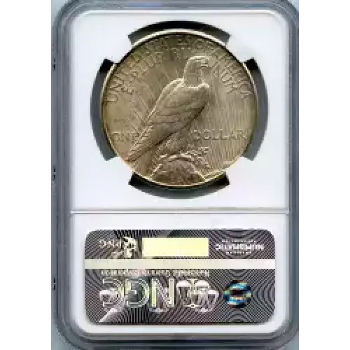 Peace Silver Dollar (3)