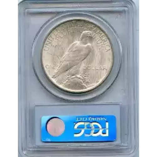 Peace Silver Dollar (3)