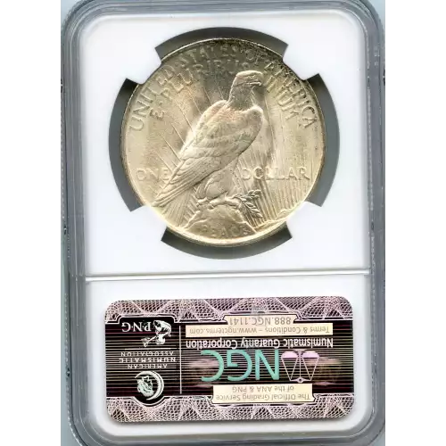 Peace Silver Dollar (3)