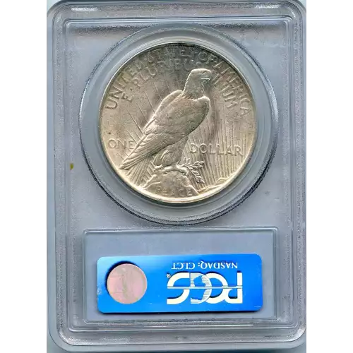Peace Silver Dollar (3)