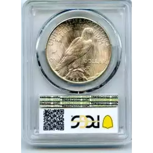 Peace Silver Dollar (3)