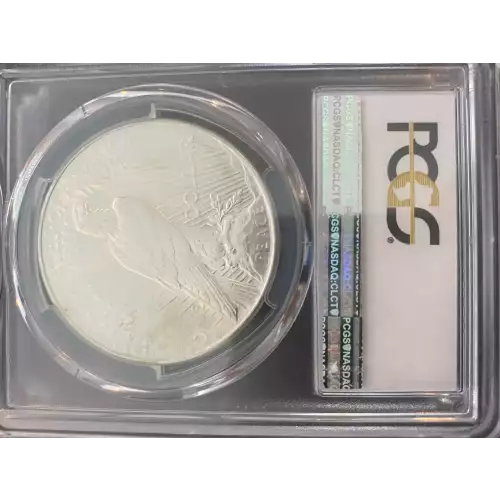 Peace Silver Dollar (3)