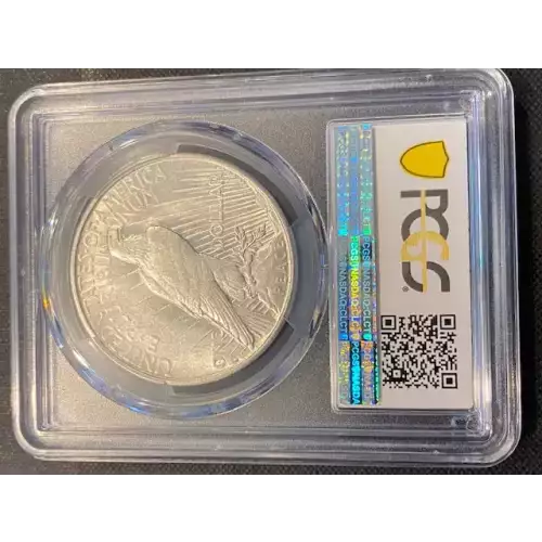 Peace Silver Dollar (3)