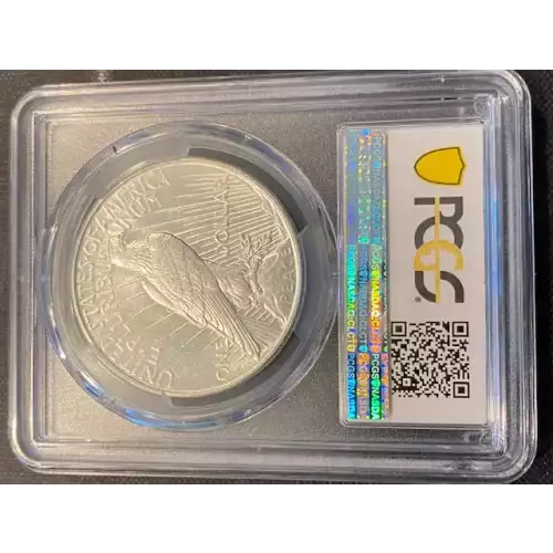 Peace Silver Dollar (3)