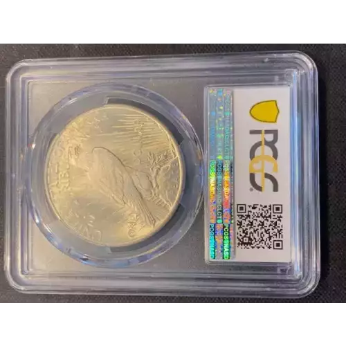 Peace Silver Dollar (3)