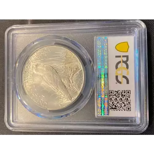 Peace Silver Dollar (3)