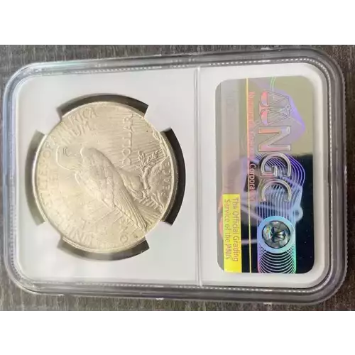 Peace Silver Dollar (3)