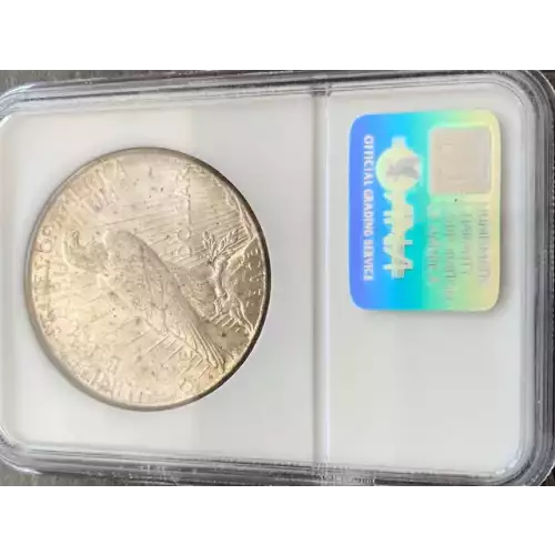 Peace Silver Dollar (3)