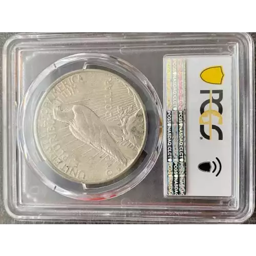 Peace Silver Dollar (3)