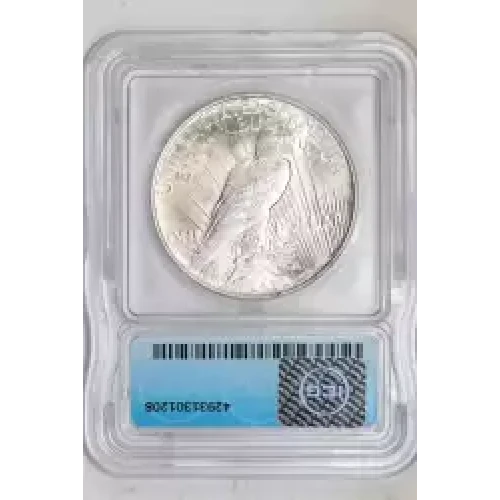 Peace Silver Dollar (2)