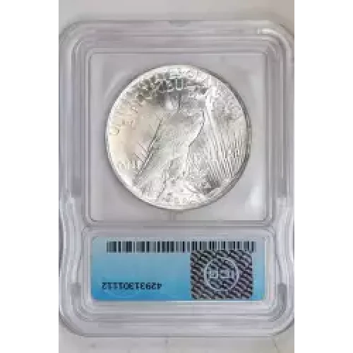 Peace Silver Dollar (2)