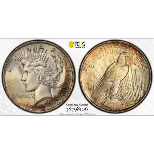 Peace Silver Dollar (2)