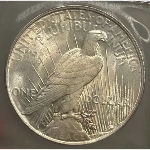 Peace Silver Dollar (3)