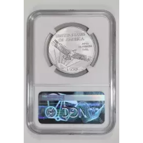 Platinum Bullion-Platinum Eagles--$100 Platinum Eagle 1 oz -Platinum- 100 Dollar (2)