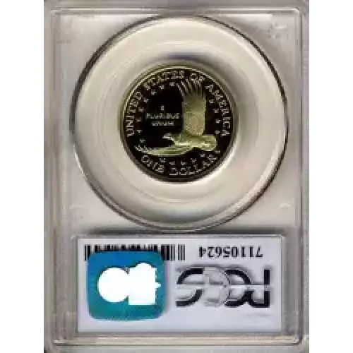 Sacagawea 2000-2017 - Brass Dollar (3)
