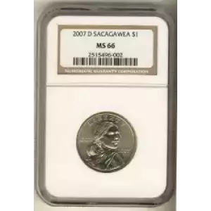 Sacagawea 2000-2017 - Brass Dollar (3)