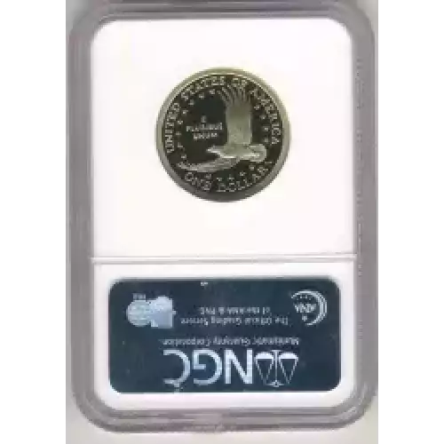 Sacagawea 2000-2017 - Brass Dollar (3)