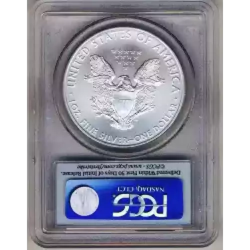 Silver Eagles (3)