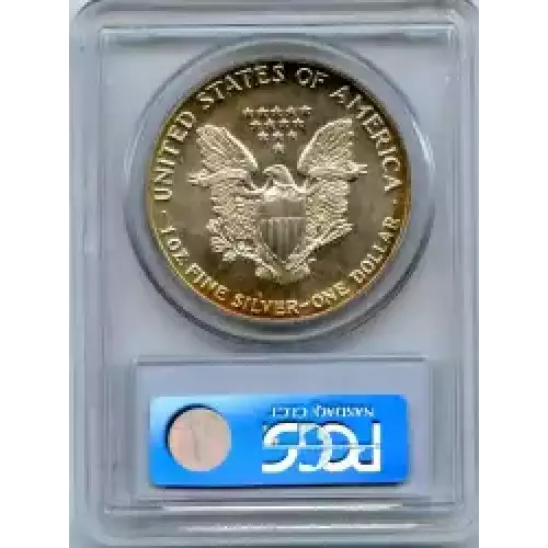 Silver Eagles (3)