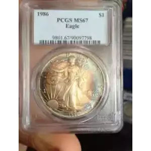 Silver Eagles (3)