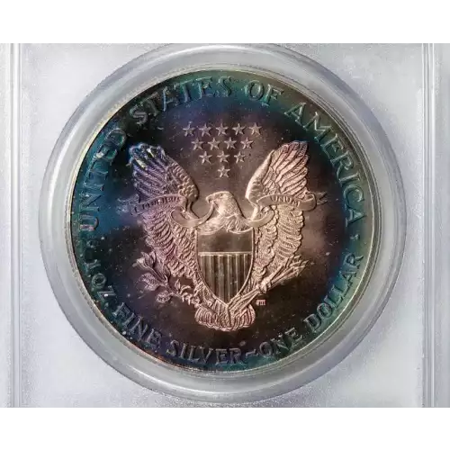 Silver Eagles (3)