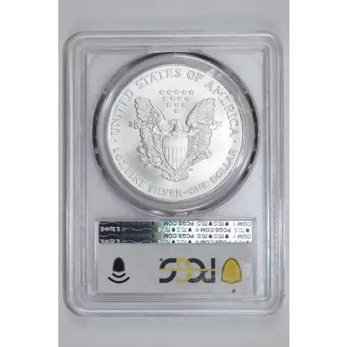 Silver Eagles (2)