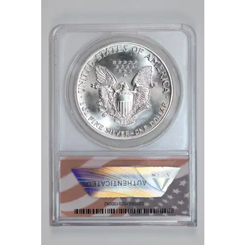 Silver Eagles (2)