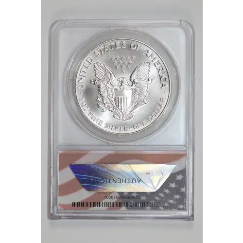 Silver Eagles (2)