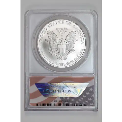Silver Eagles (2)