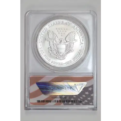 Silver Eagles (2)