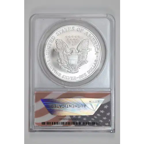Silver Eagles (2)