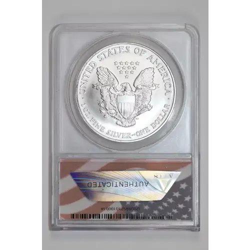 Silver Eagles (2)