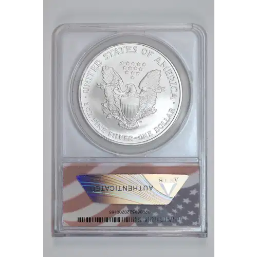 Silver Eagles (2)