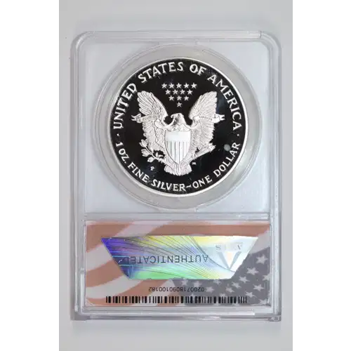 Silver Eagles (2)