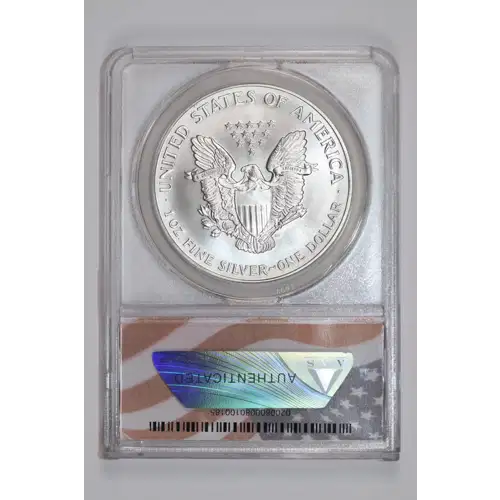 Silver Eagles (2)