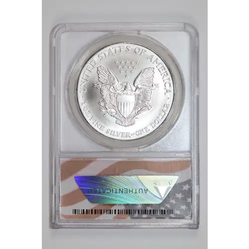 Silver Eagles (2)