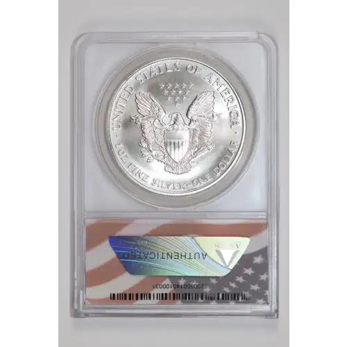 Silver Eagles (2)