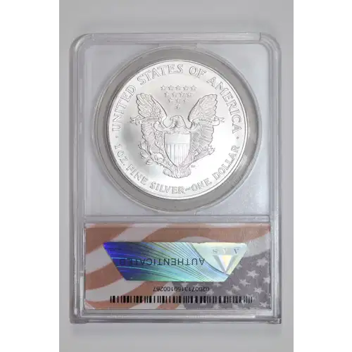 Silver Eagles (2)