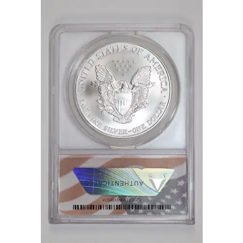 Silver Eagles (2)