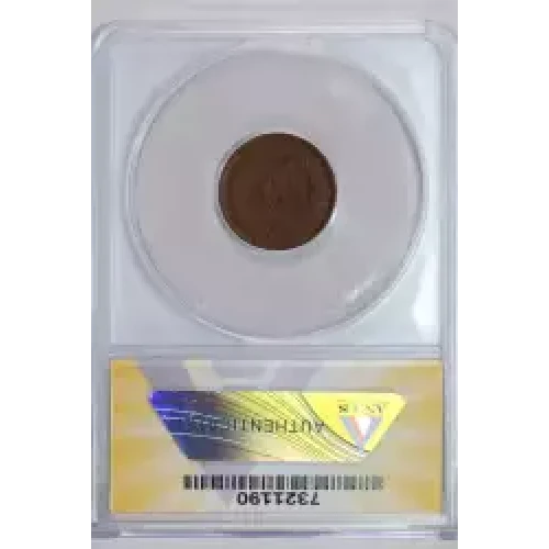 Small Cents-Indian Head 1859-1909 -Copper