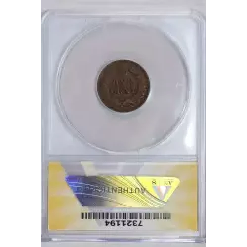 Small Cents-Indian Head 1859-1909 -Copper