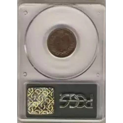 Small Cents-Indian Head 1859-1909 -Copper (3)