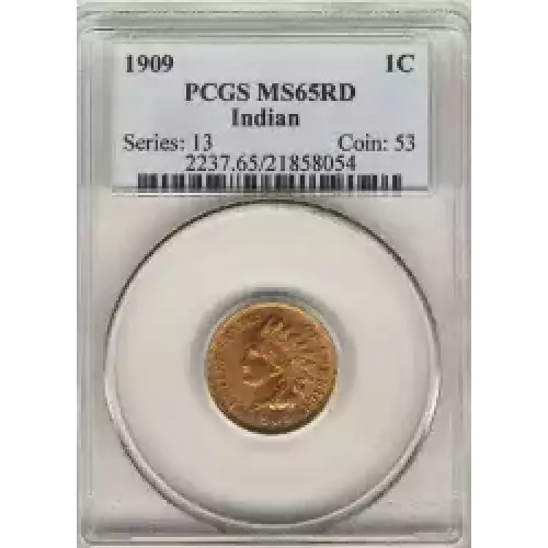 Small Cents-Indian Head 1859-1909 -Copper (3)